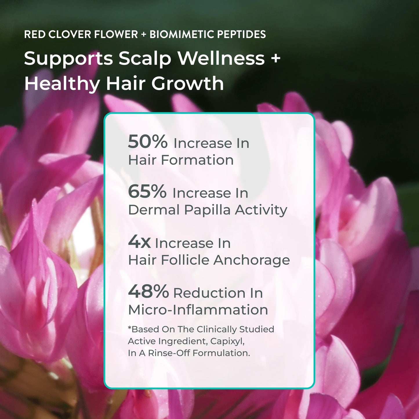 Growth Support Styling Foam
