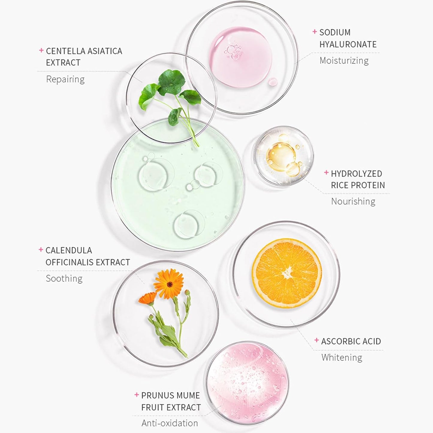 Japanese Sunscreen SPF 50 PA+++ Rosada Essence Cream 50G Face Sunscreen Moisturizing Cosmetics (1)
